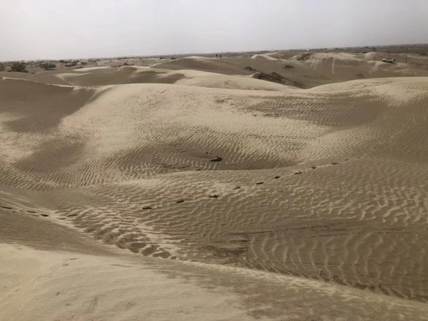上海经济犯罪律师来从案例看经济犯罪的危害和应对之策