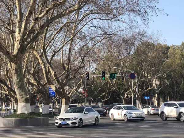 松江区律师在线教你：如何识别假药、劣质药