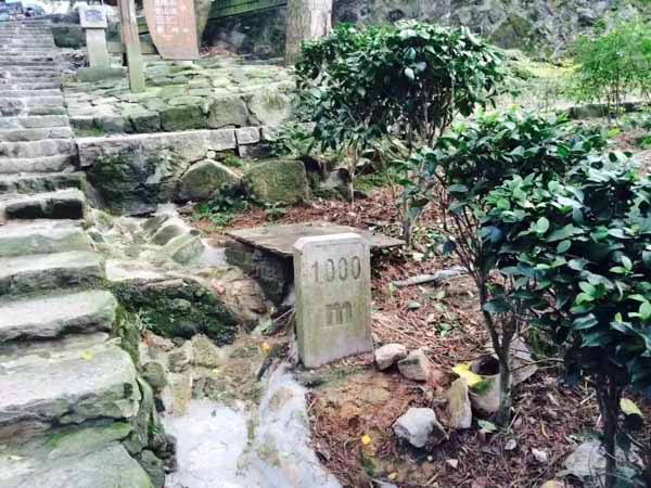 上海法律顾问:强拆时因古董楠木床还未搬出发生冲突，村民称多人将其打伤