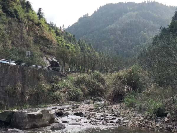 建设工程合同出现问题怎么办？上海工程纠纷律师为您解答