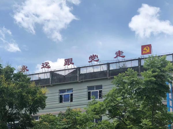 贪污共犯有哪些形式？上海经济犯罪律师为您解答